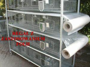 تربية شينشيلا SZYLEX، الغذاء، الأعلاف، الأقفاص، شنشيلا في بولندا 09